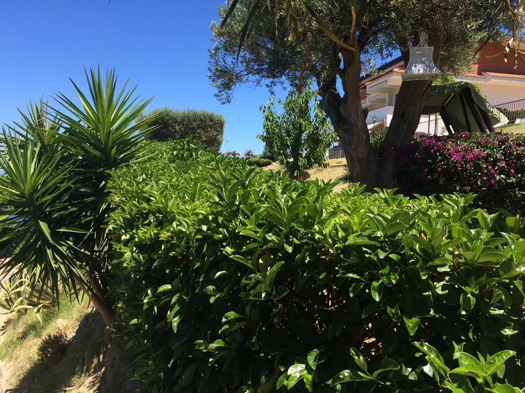 Villa Del Conte Drapia ภายนอก รูปภาพ